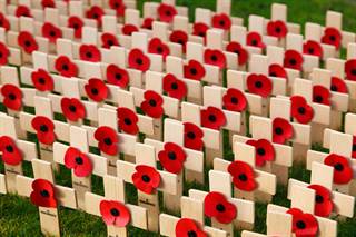 poppy