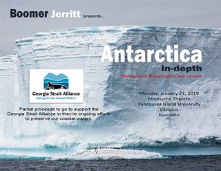 arctic