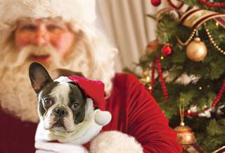 xmas