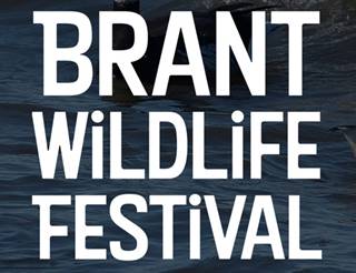 brant