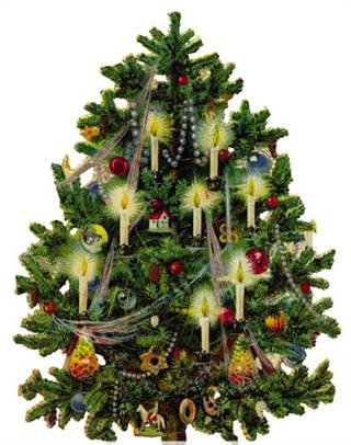 tree