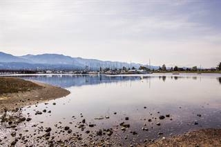 Bay