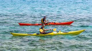 kayak