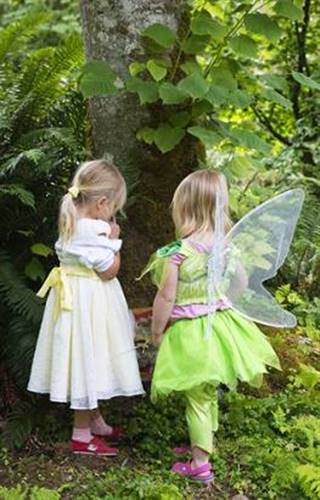 fairy