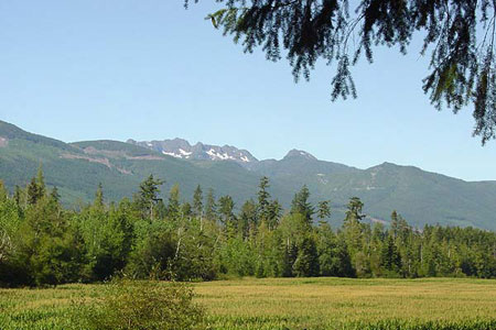 Mountain view from Errington